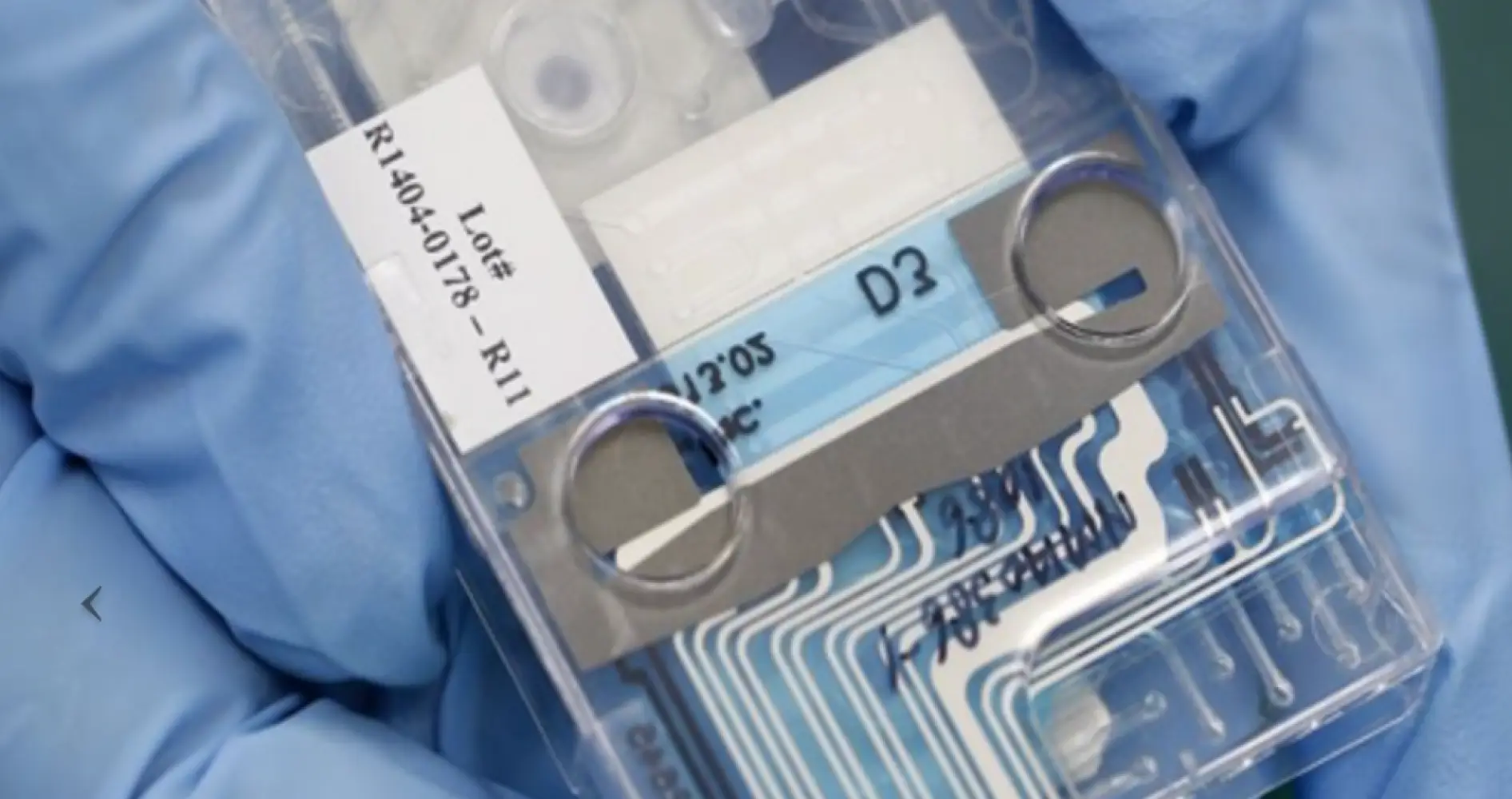 In-Vitro Diagnostic
