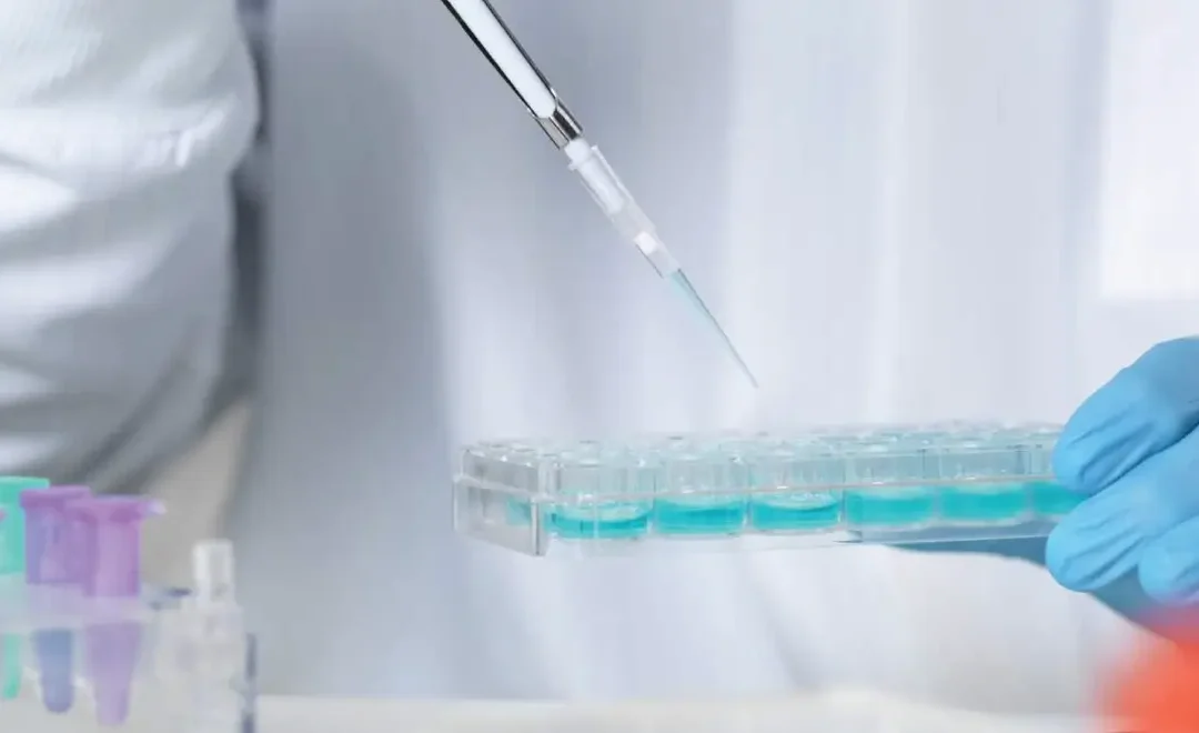 In-Vitro Diagnostics (IVD)