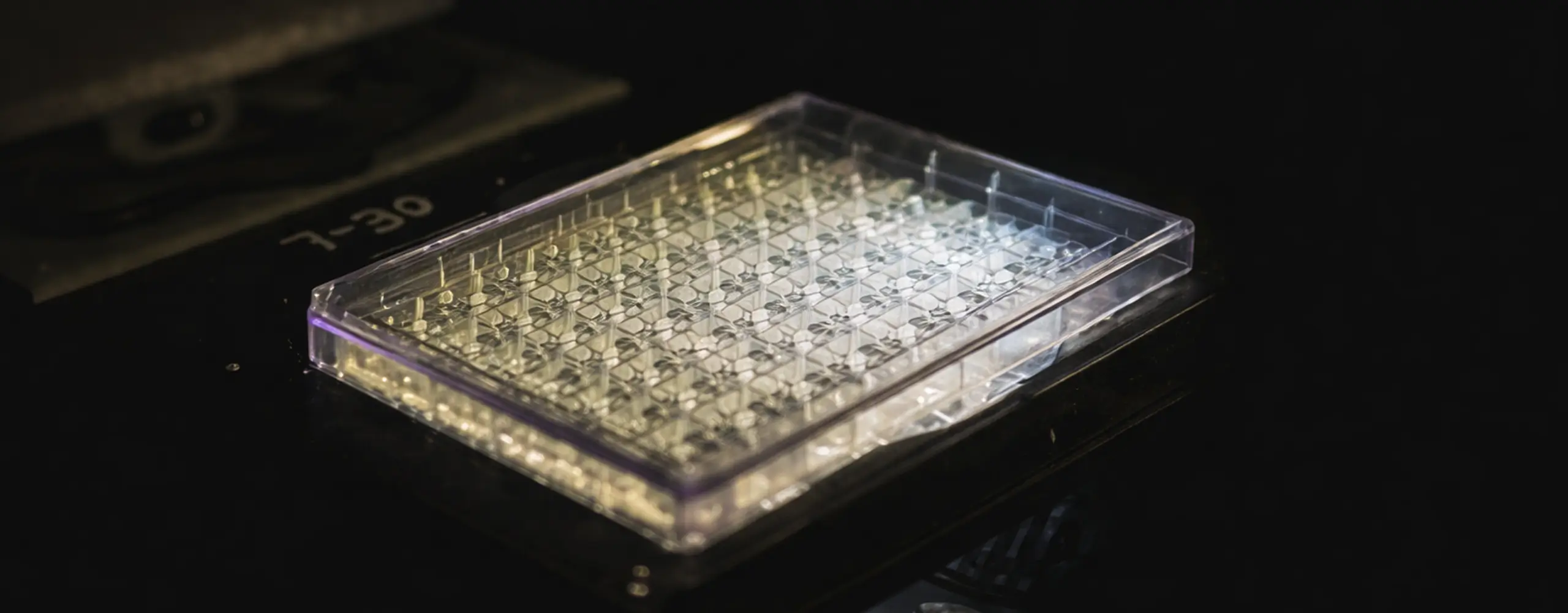 Microfluidic Chip 1