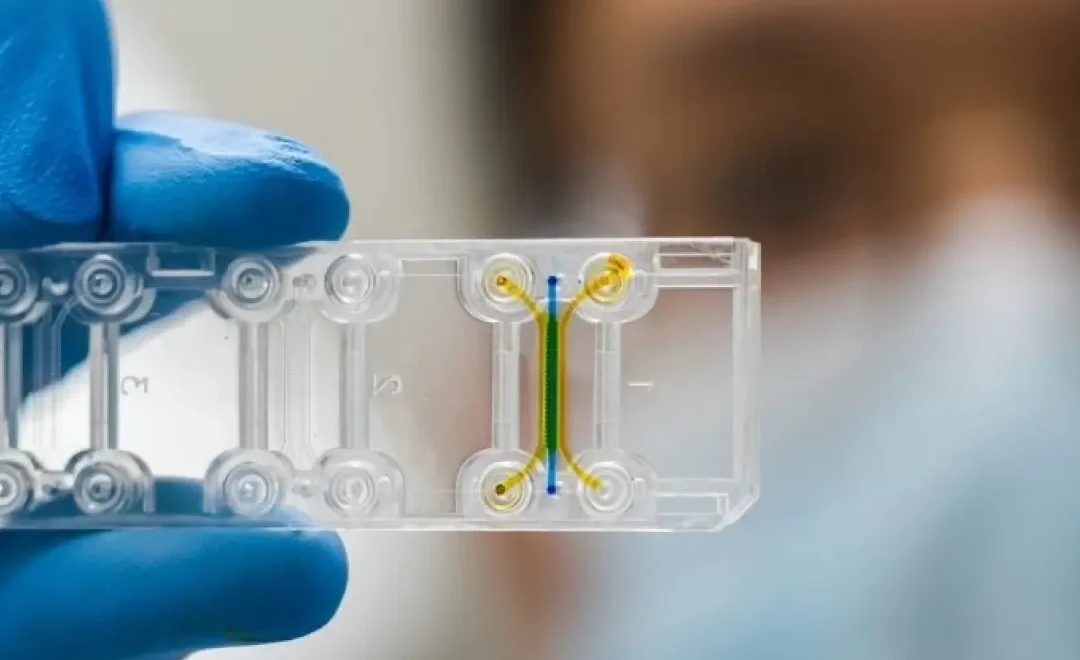 Microfluidic Chip