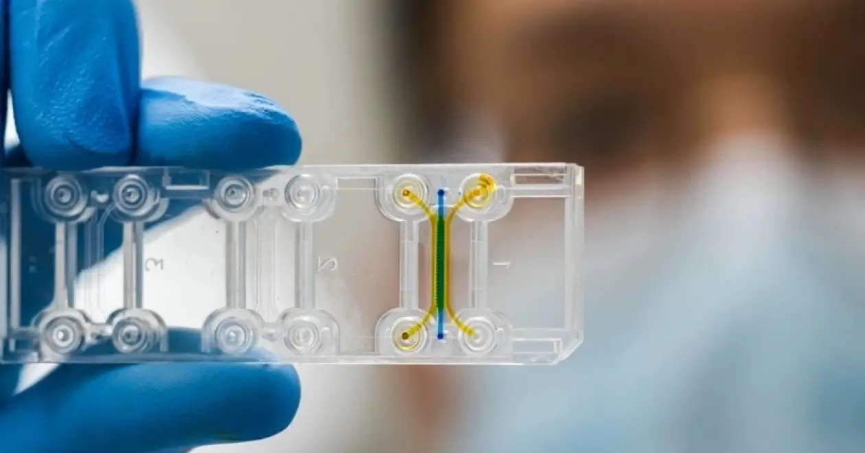 Microfluidic Chip