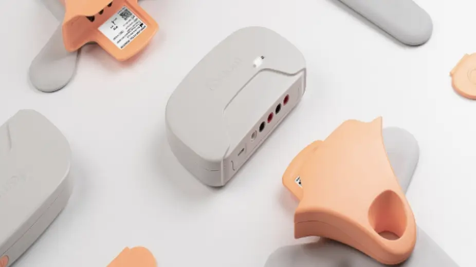 Remote Perinatal Monitoring (Biorithm)